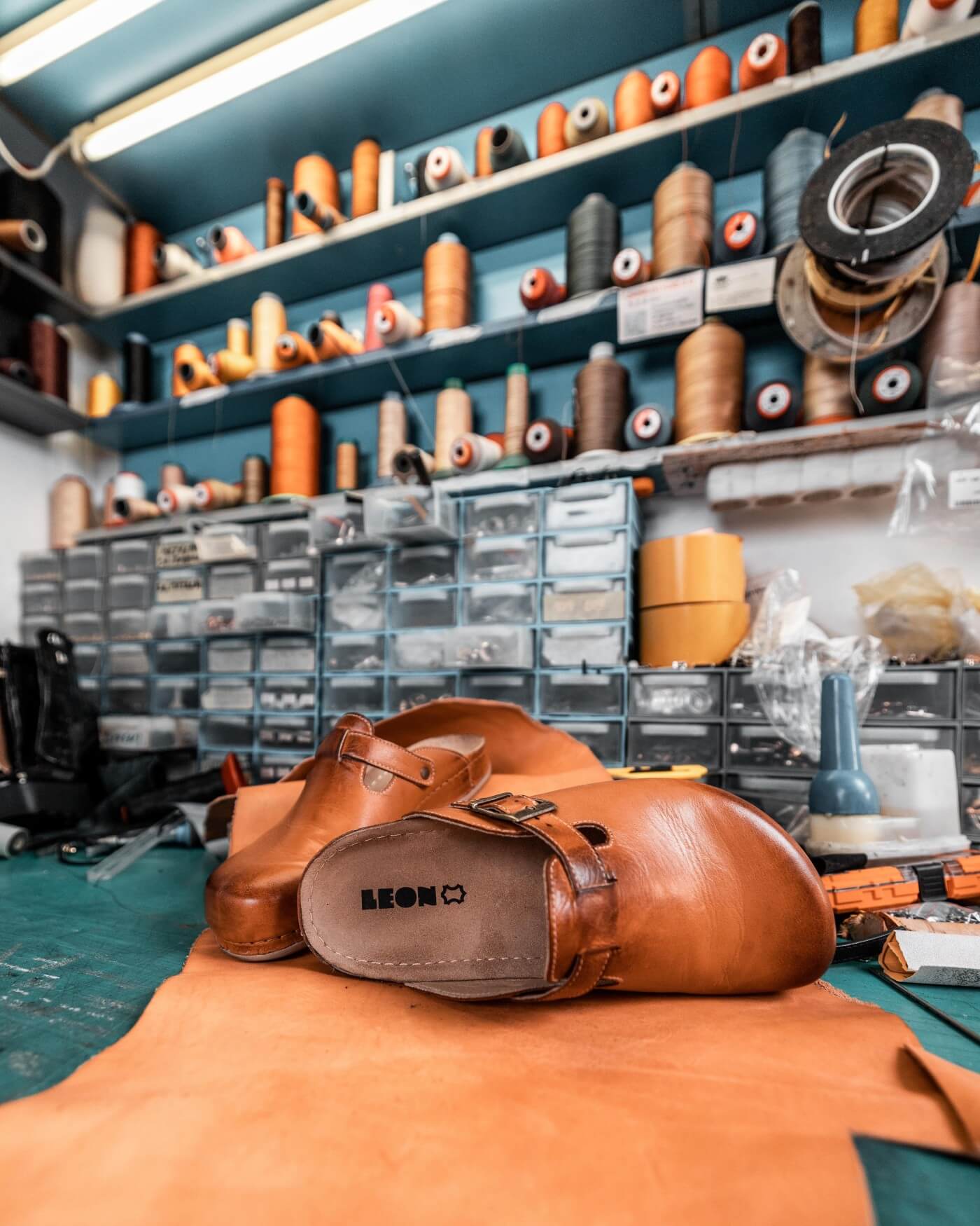 Leon prica 2 milenko bozic 331 (1)